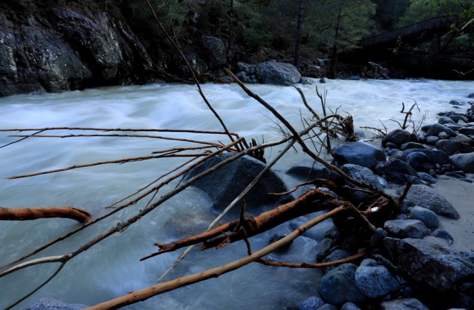 Corte : Quel Impact les crues de novembre ont-elles eu sur la population de truites ? Corte : Quel Impact les crues de novembre ont-elles eu sur la population de truites ?
