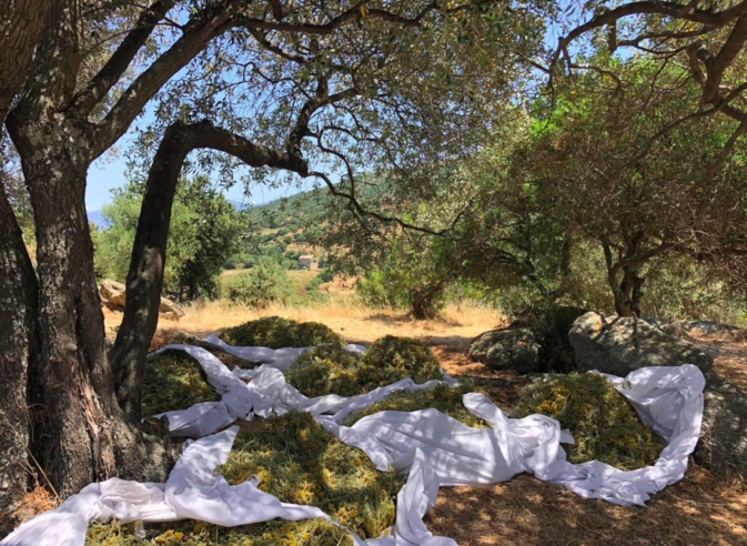 Crédit photo Michel Dubost Crédit photo Michel Dubost