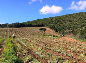 Crédit photo Michel Dubost Crédit photo Michel Dubost