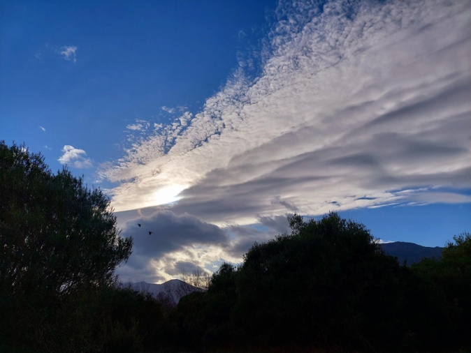 (Françoise Geronimi)