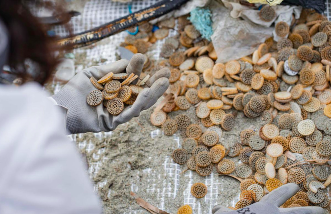 Crédit photo Mare Vivu Crédit photo Mare Vivu