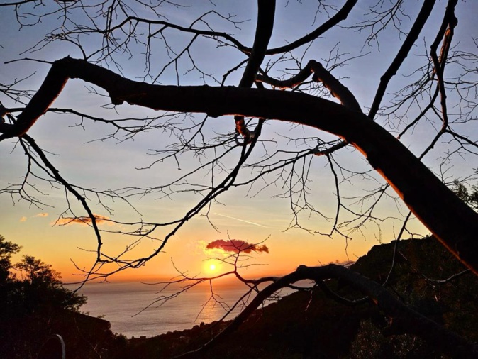 (Marité Valery) (Marité Valery)