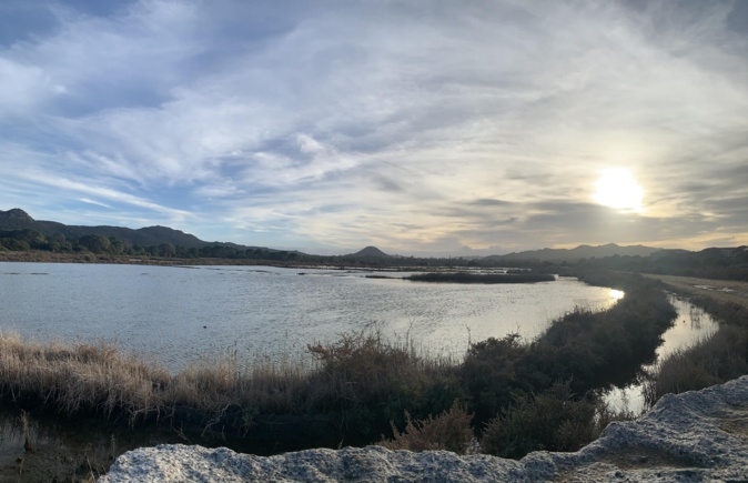 La photo du jour : près des marais salants de Porto Vecchio