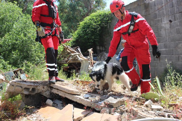 Une vingtaine de victimes - imaginaires - à Suare à la suite d'un séisme Une vingtaine de victimes - imaginaires - à Suare à la suite d'un séisme