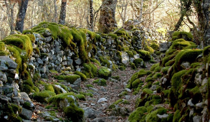 Sur les hauteurs de Bastelica (Pascal Le Dervouët)