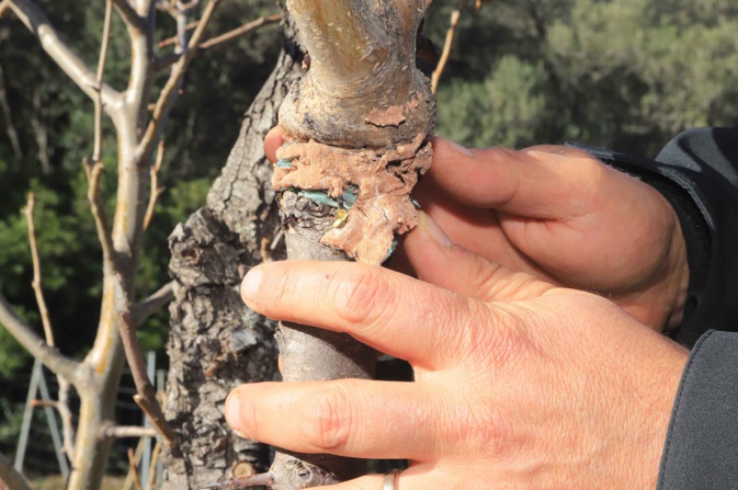 Santa-Lucia-di-Mercuriu : La Mercure, entre chasse et protection de l’environnement
