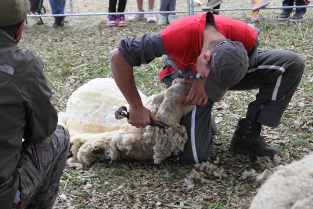 (Photo Lydie Colonna)