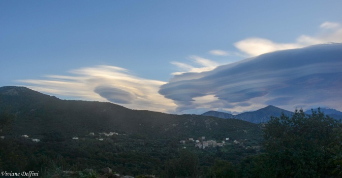 Jour de vent à Coggia (Viviane Delfini)