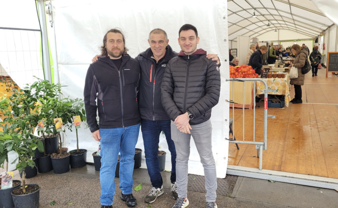 Les “Agrumes sont en fête” ce week-end à Bastelicaccia