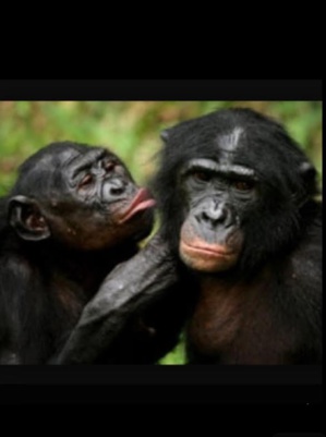 "Yakich et Poupatchée" d'Hanokh Levin à l'Aghja "Yakich et Poupatchée" d'Hanokh Levin à l'Aghja