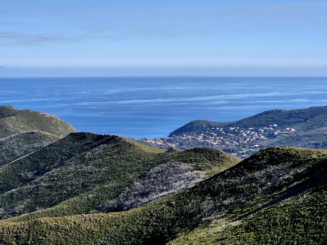 Françoise Geronimi Françoise Geronimi