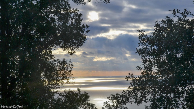 Le ciel de Coggia (Viviane Delfini)