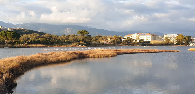 La photo du jour : les marais salants de Portivechju