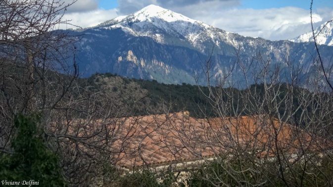 Monte Cervellu (Viviane Delfini)