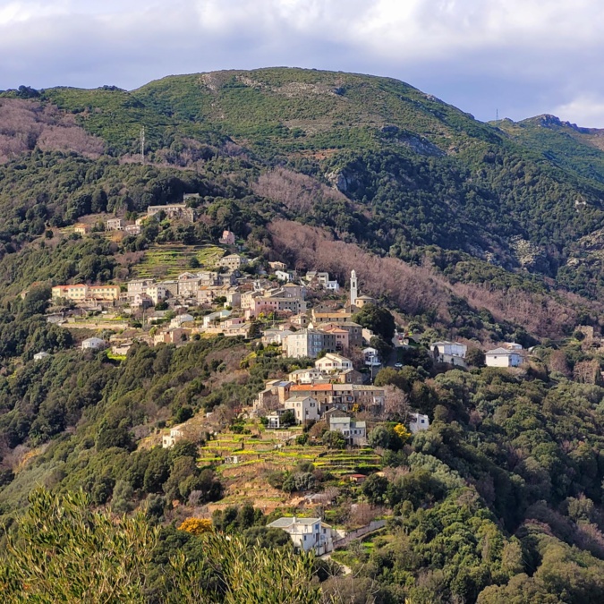 La photo du jour : u bellu paese di San Martinu di Lota La photo du jour : u bellu paese di San Martinu di Lota