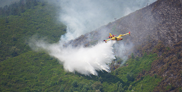 Incendie : 5 hectares détruits à Volpajola