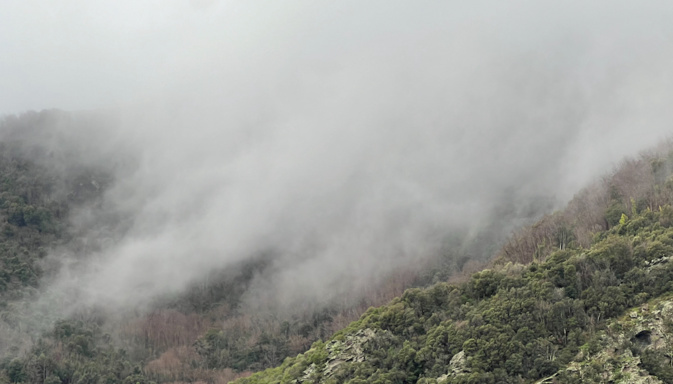 Météo : La Corse en vigilance jaune pour "pluie-inondation" Météo : La Corse en vigilance jaune pour "pluie-inondation"