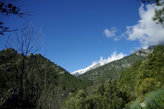 Dans le Verghellu  (Joseph Dornbusch)