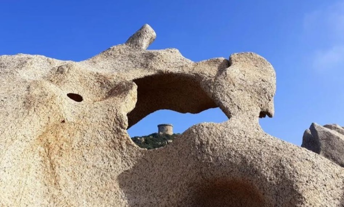 La photo du jour : vue sur la tour de Campumoru La photo du jour : vue sur la tour de Campumoru