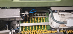 L’usine de jus de fruits de Linguizetta : un modèle de développement durable L’usine de jus de fruits de Linguizetta : un modèle de développement durable