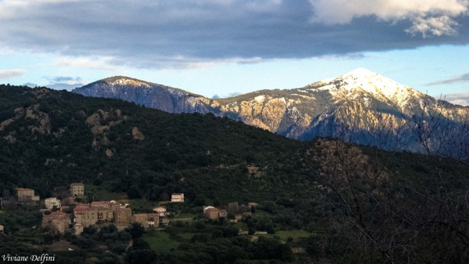 Monte Cervellu et Coggia (Viviane Delfini)