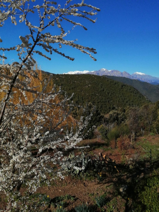 Hiver ou Printemps ? (Bernard Chalbos)