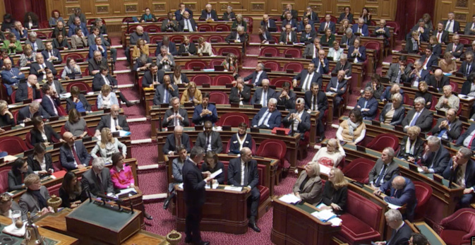 (Photo : Capture d'écran Sénat Direct) (Photo : Capture d'écran Sénat Direct)