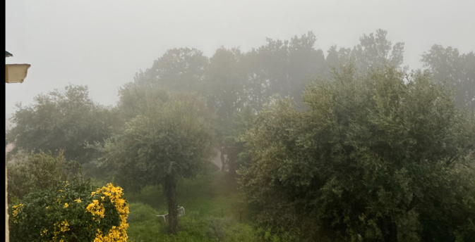 La météo du jour en Corse