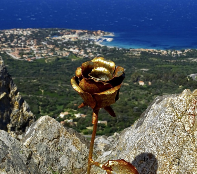 La photo du jour : la rose metallique d'Occi