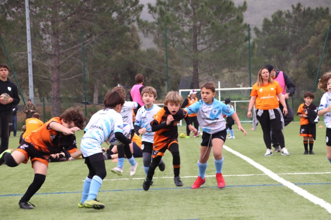 Rendez-vous réussi pour le rugby à Porto-Vecchio Rendez-vous réussi pour le rugby à Porto-Vecchio