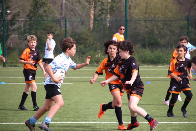 Rugby - Un week-end pascal complètement ovale à Porto-Vecchio Rugby - Un week-end pascal complètement ovale à Porto-Vecchio