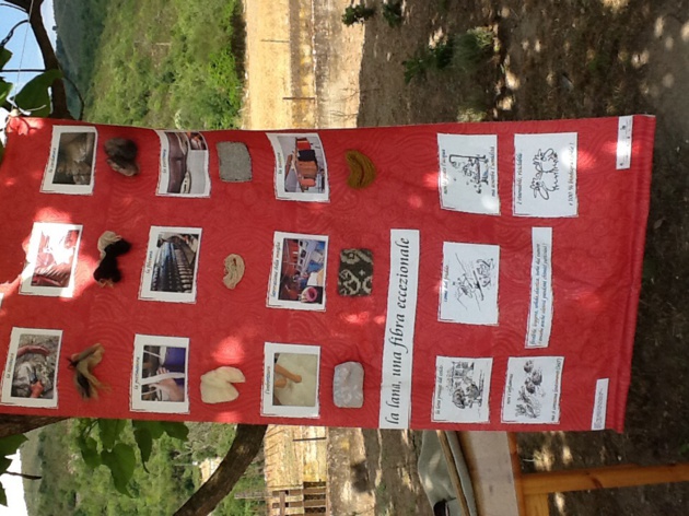 Altiani : "La laine, richesse d'hier et d'aujourd'hui" Altiani : "La laine, richesse d'hier et d'aujourd'hui"