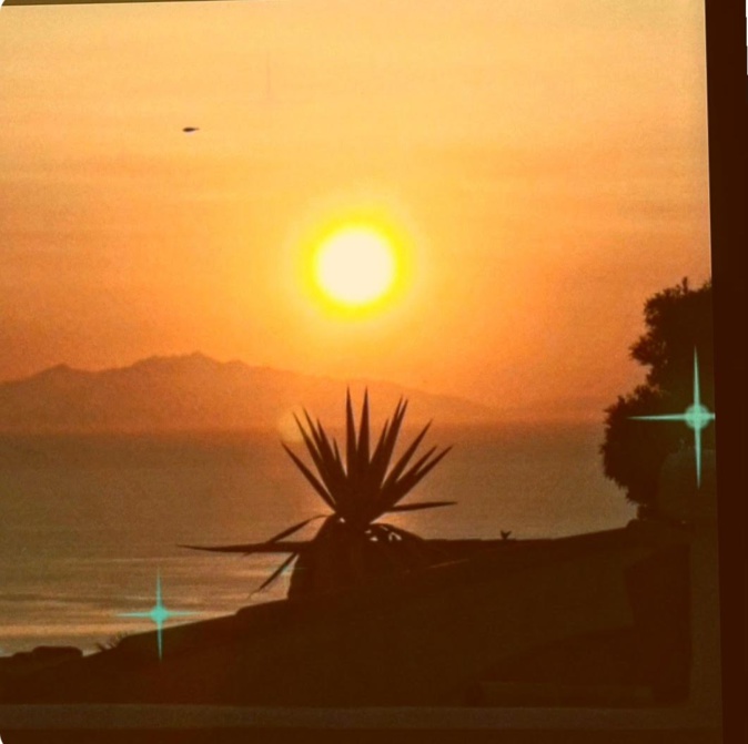 (Graziella Desotgiu)