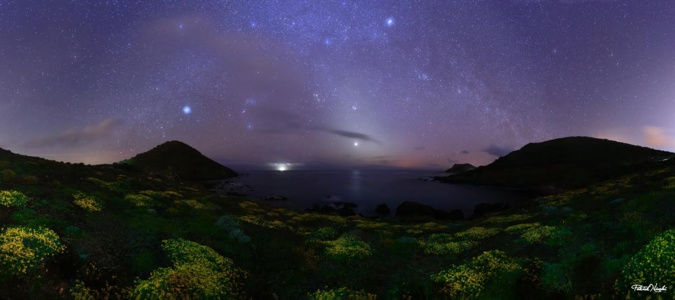 La photo du jour : Le grand site de la Parata une nuit de printemps
