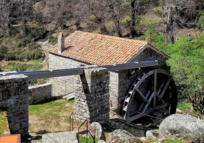 Nouveau projet culturel d'Altaleghje : "Scoprà u vivu" pour sensibiliser à l'urgence climatique Nouveau projet culturel d'Altaleghje : "Scoprà u vivu" pour sensibiliser à l'urgence climatique
