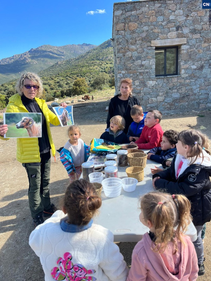Le 19 avril dernier sur l’exploitation de Jean-François Sammarcelli, berger à Lama Le 19 avril dernier sur l’exploitation de Jean-François Sammarcelli, berger à Lama