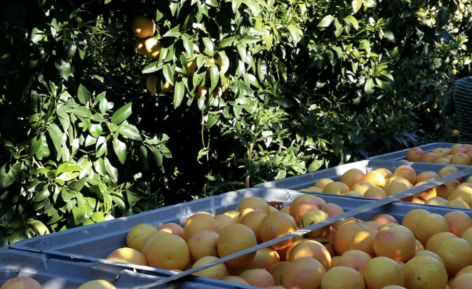 Crédit photo APRODEC Crédit photo APRODEC