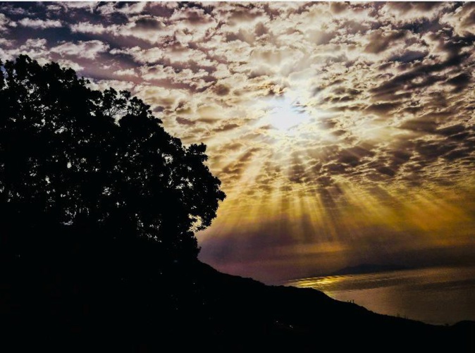 Alba d’oru (Marité Valery) Alba d’oru (Marité Valery)