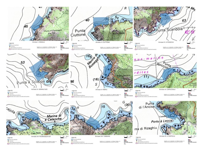 Corse : deux dispositifs pour protéger la reproduction du balbuzard-pêcheur Corse : deux dispositifs pour protéger la reproduction du balbuzard-pêcheur