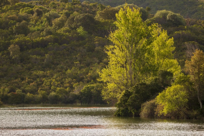 Lac de Padula (Hyacinthe Sambroni)