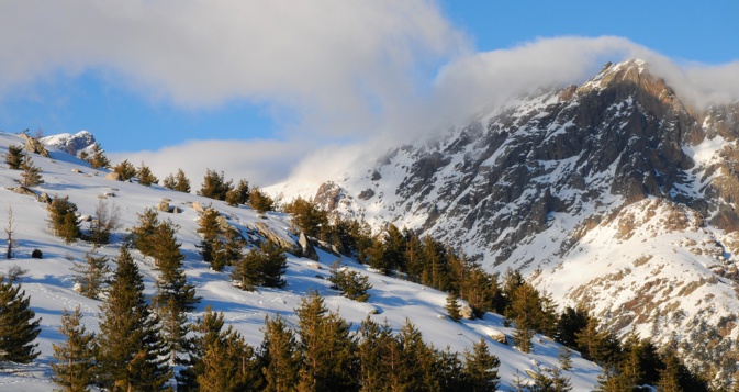 Crédit photo Parc naturel régional de Corse - Parcu di Corsica Crédit photo Parc naturel régional de Corse - Parcu di Corsica