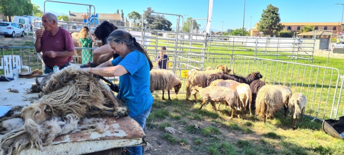 Castellare-di-Casinca fête la San Brancà