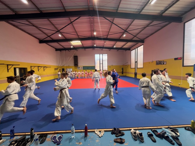 Cecile Nowak-Grasso (FF Judo) en visite à Ajaccio : "Tous les voyants sont verts" Cecile Nowak-Grasso (FF Judo) en visite à Ajaccio : "Tous les voyants sont verts"