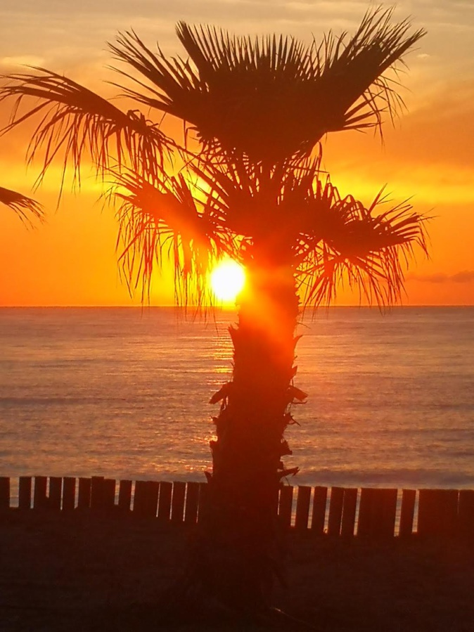 Gilles Steinmetz Gilles Steinmetz