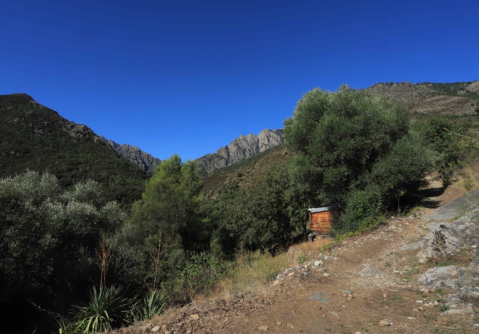 A l’Ultimu, un nouveau concept de trail le samedi 25 mai à Corte A l’Ultimu, un nouveau concept de trail le samedi 25 mai à Corte