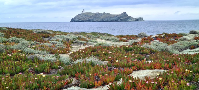 La photo du jour : la Giraglia tout simplement La photo du jour : la Giraglia tout simplement