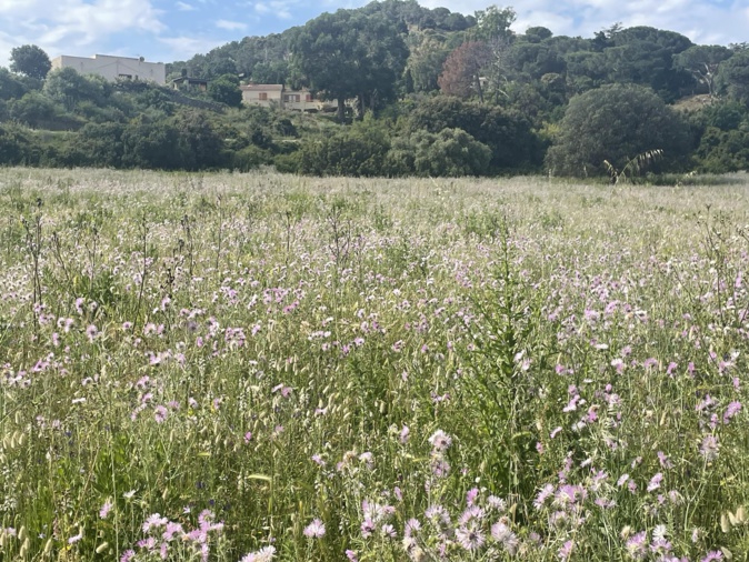 §Renaud Kiselman) §Renaud Kiselman)