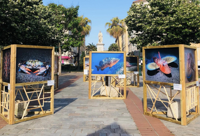 Crédit photo Sauver la Méditerranée