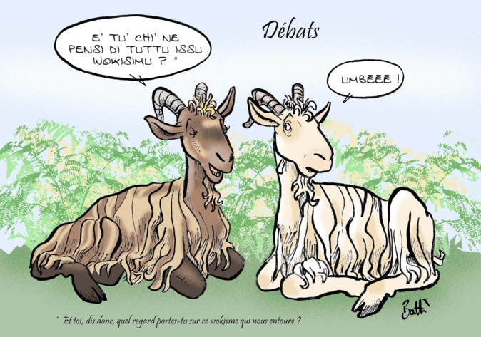 L'actualité corse vue par Battì : issu wokismu L'actualité corse vue par Battì : issu wokismu