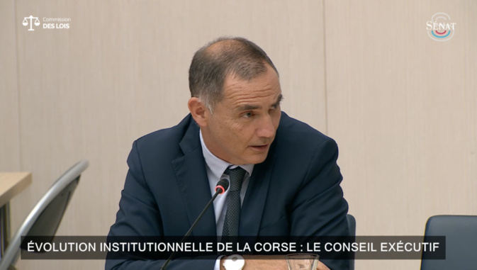 (Photo : Capture d'écran Sénat ) (Photo : Capture d'écran Sénat )